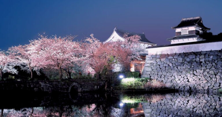 Fukuoka Castle Cherry Blossom Festival